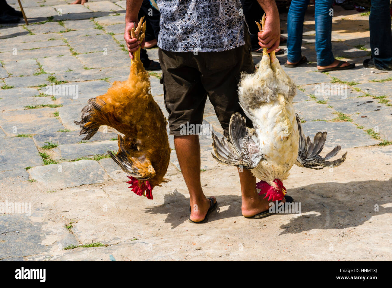 Man standing, holding two roosters by their legs that will be sacrificed at the Khadga Devi Mandir Temple Stock Photo