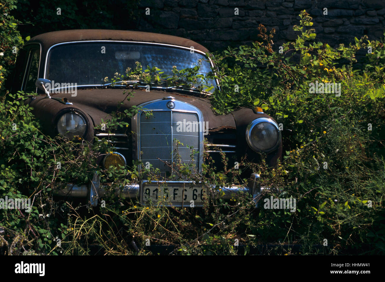 Old car amongst bushes Stock Photo