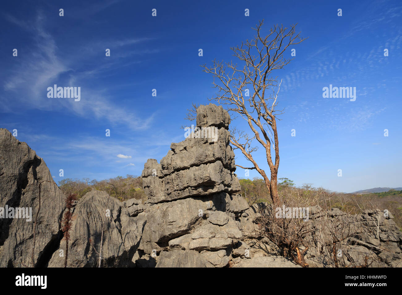 Curiously strange rock formations of fantastically eroded limestone spires, known as Tsingy in amazing National Park Ankarana, Madagascar wilderness Stock Photo