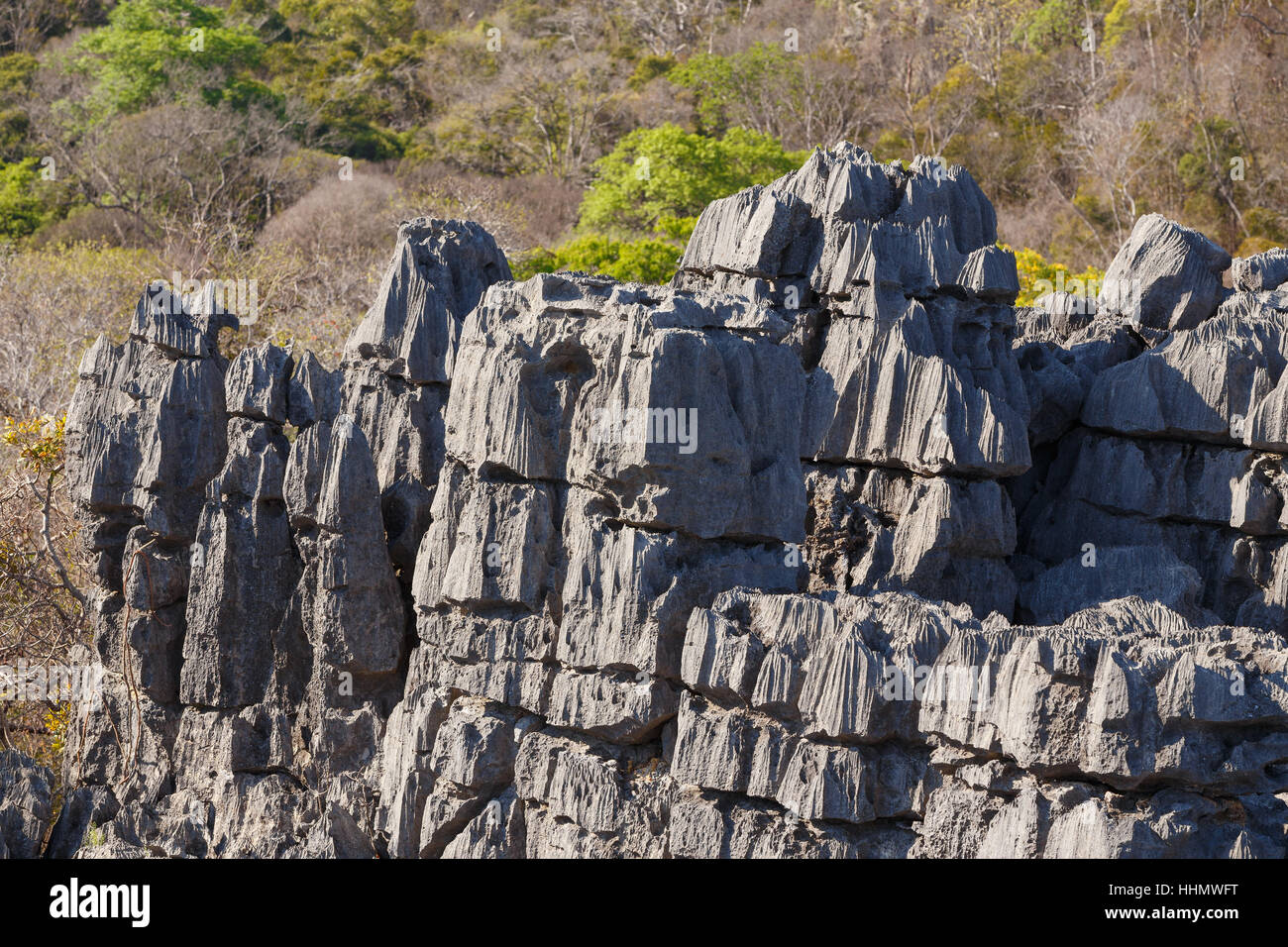 Curiously strange rock formations of fantastically eroded limestone spires, known as Tsingy in amazing National Park Ankarana, Madagascar wilderness Stock Photo