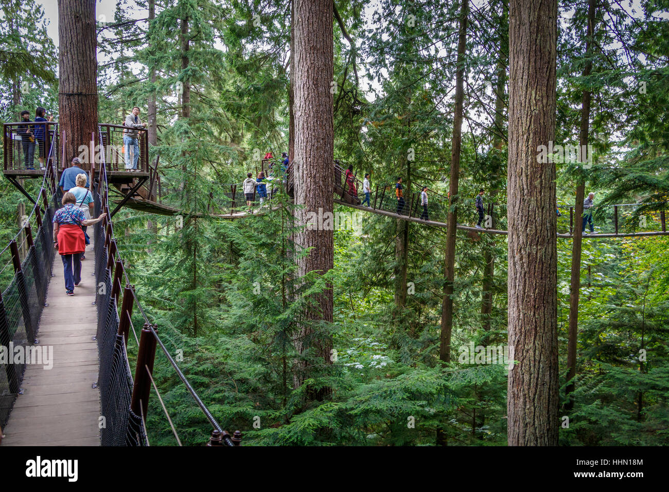 Tourists on the Capilano Park Treetops Adventure, Vancouver, British Columbia, Canada. Stock Photo