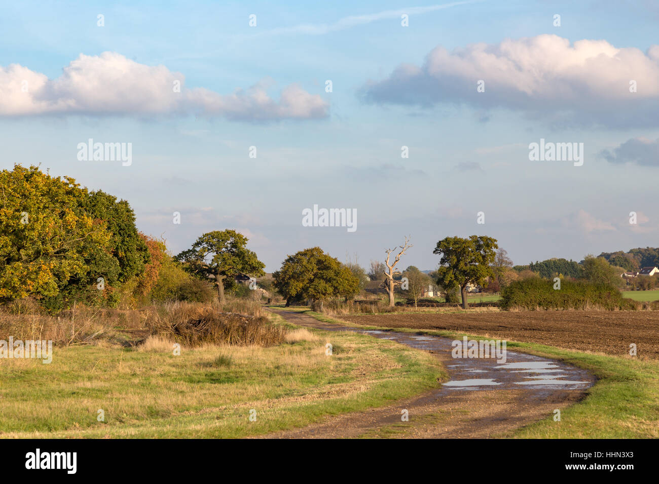 Winding path in the Essex countryside. Fall shot of a winding path in the Essex countryside in the autumn on a sunny afternoon. Stock Photo