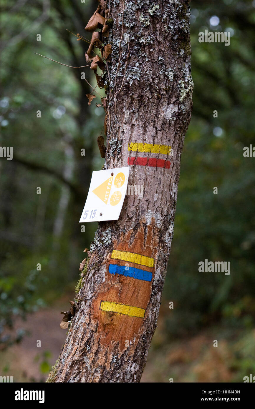 Route markers on a tree on a pathway in a French woodland. Stock Photo