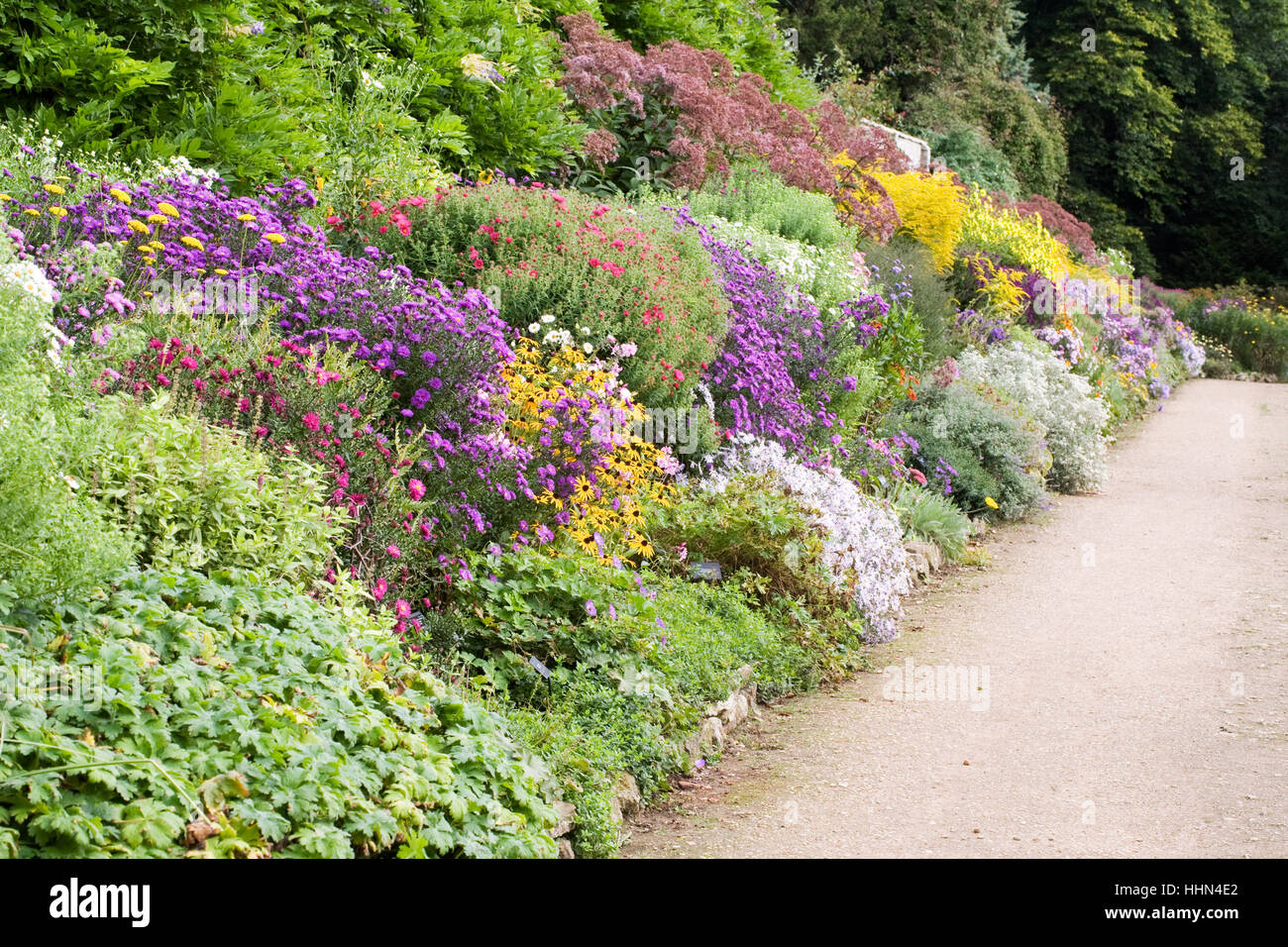 Colourful herbaceous border at Waterperry gardens in Autumn. Stock Photo