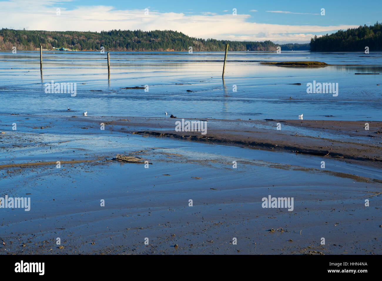 Oyster Bay, Kennedy Creek Natural Area Preserve, Mason County