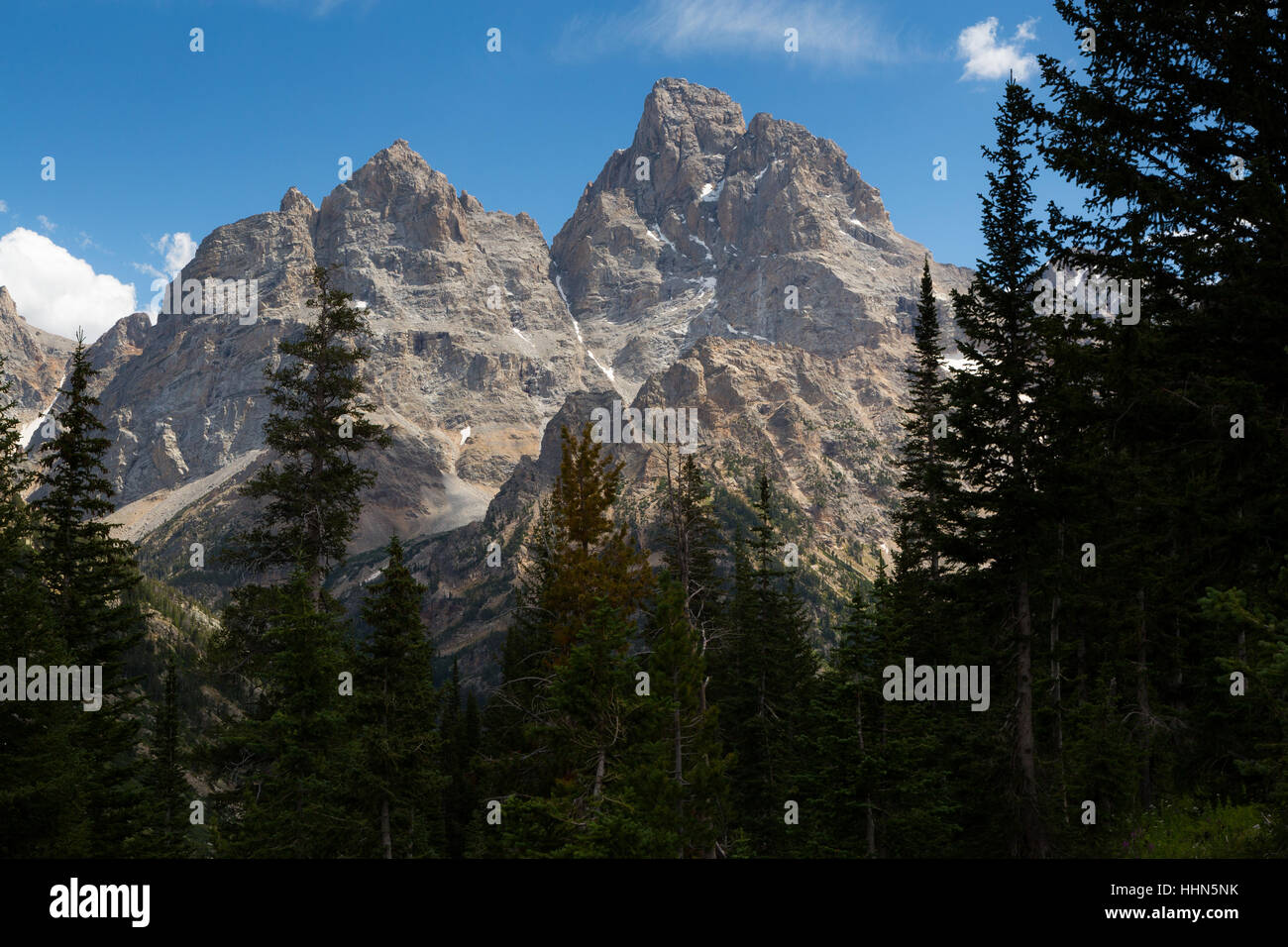 The Cathedral Group of Teton Peaks above evergreen trees in the North