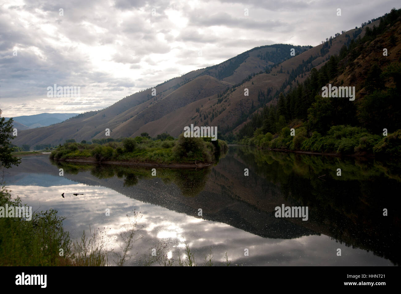 Calm portion of the Salmon River showing the reflection of the Sawtooth Mountains and cloudy sky in a valley leading to Shoup Stock Photo