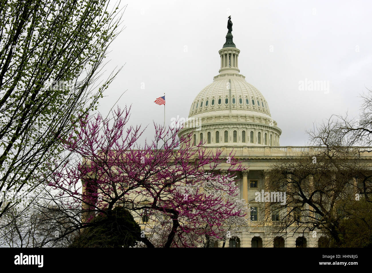 the capitol in spring Stock Photo - Alamy