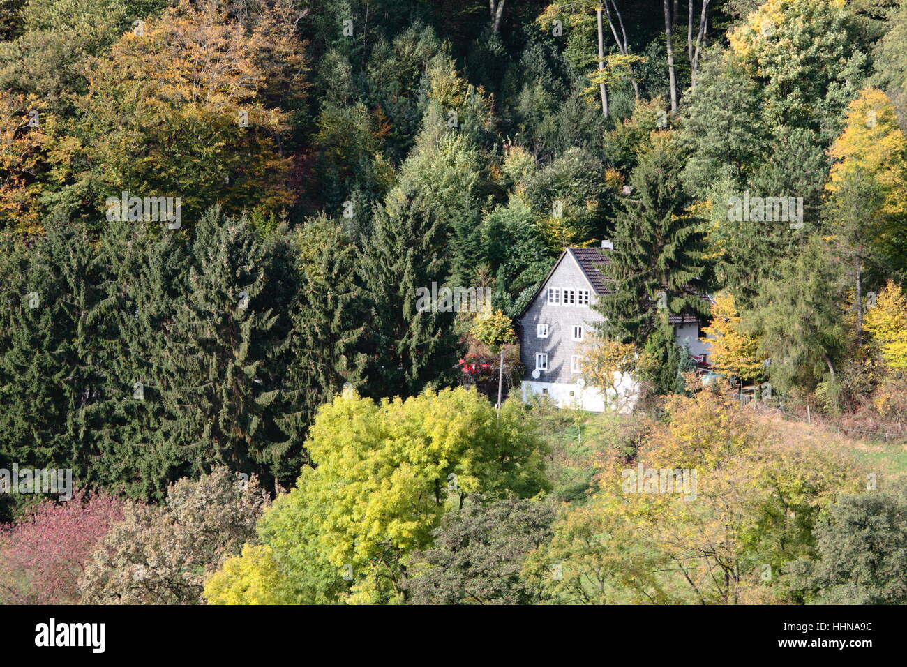 house in the forest Stock Photo - Alamy