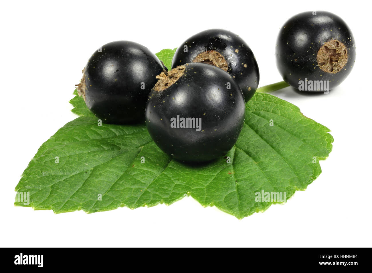 blackcurrants isolated on white background Stock Photo