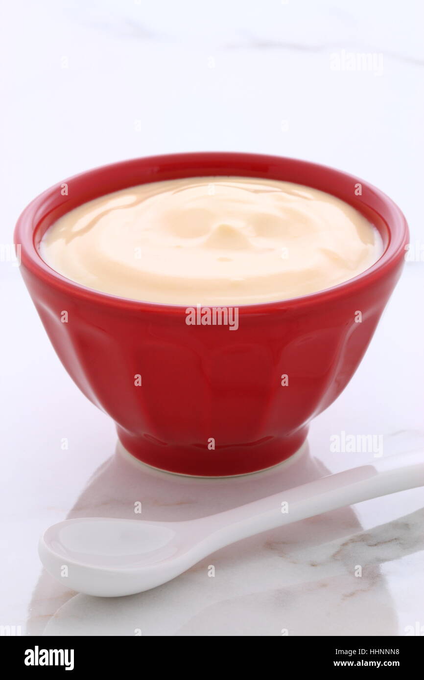 Delicious, nutritious and healthy fresh plain yogurt cup. On vintage