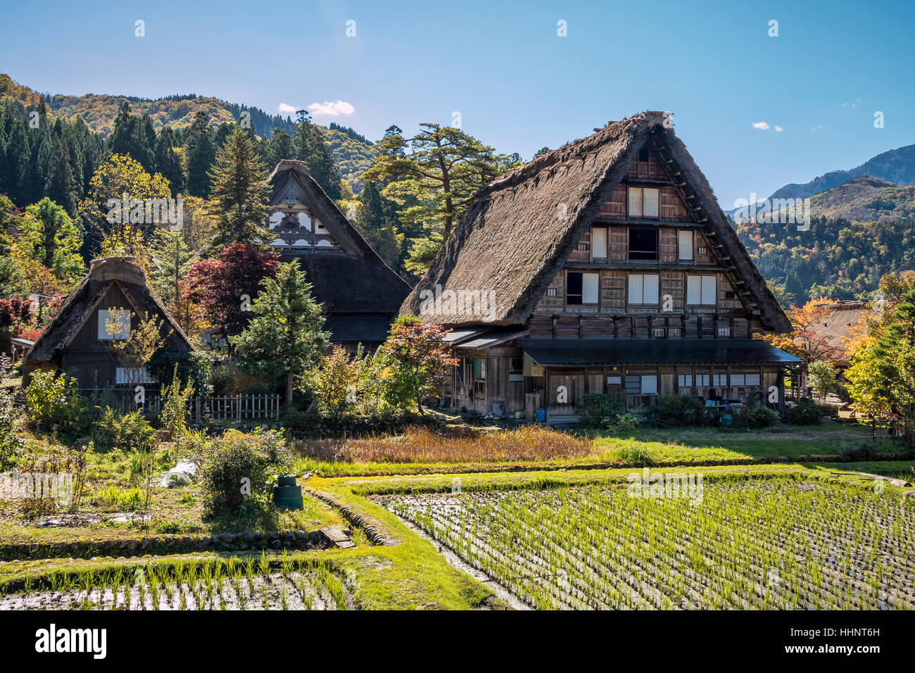 Gassho-zukuri Houses at Shirakawa-go, Gifu Japan Stock Photo