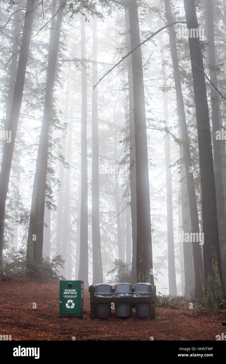 Recycling bin and trash cans in forest Stock Photo