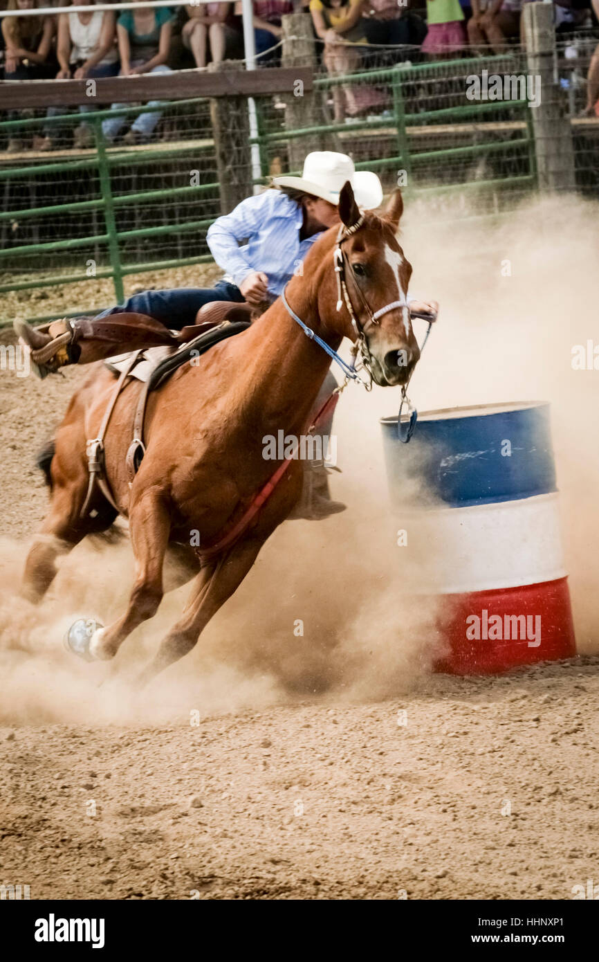 Cowgirl riding horse near barrel in rodeo Stock Photo
