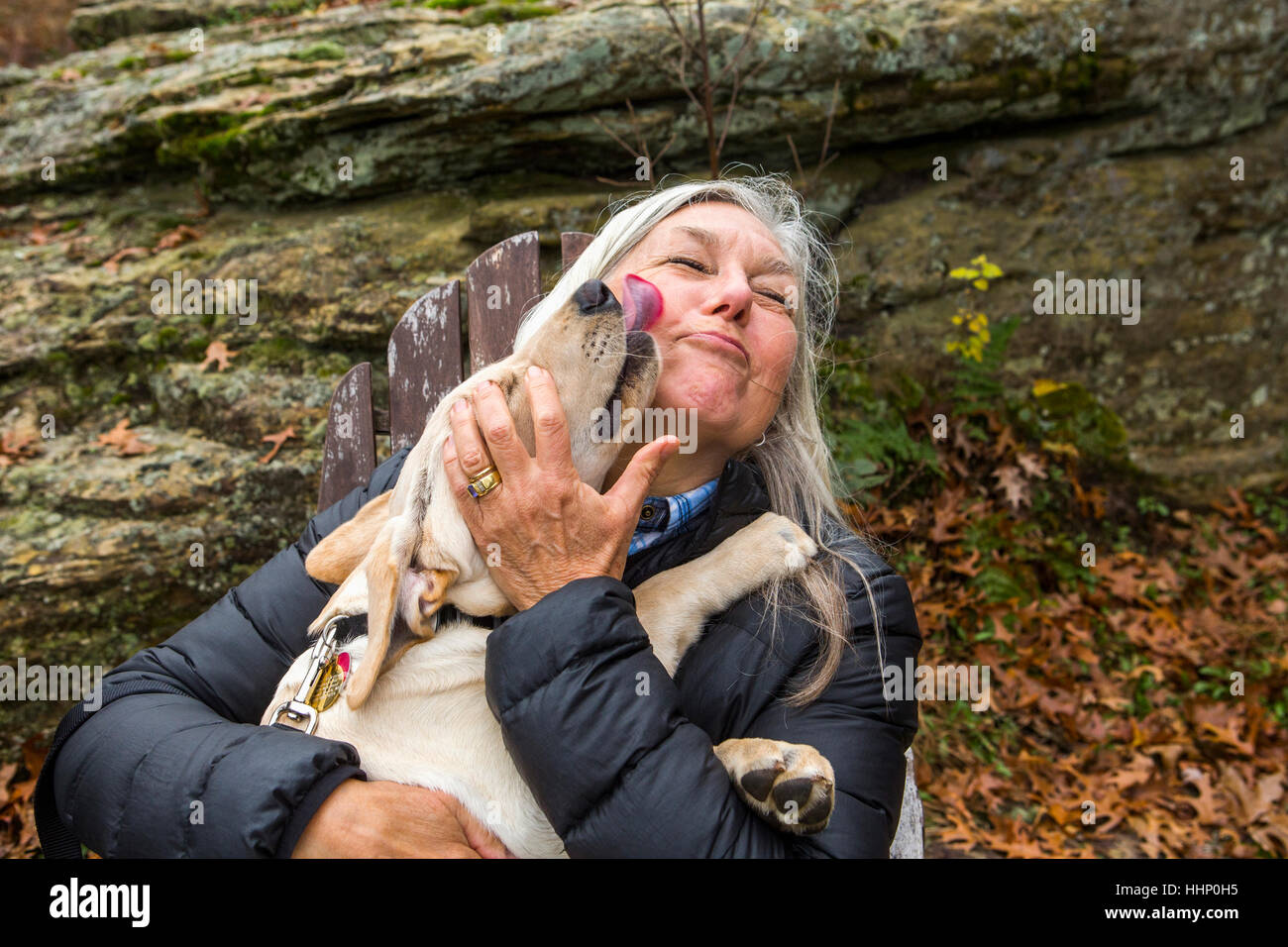 Dog licking face of Caucasian woman outdoors Stock Photo
