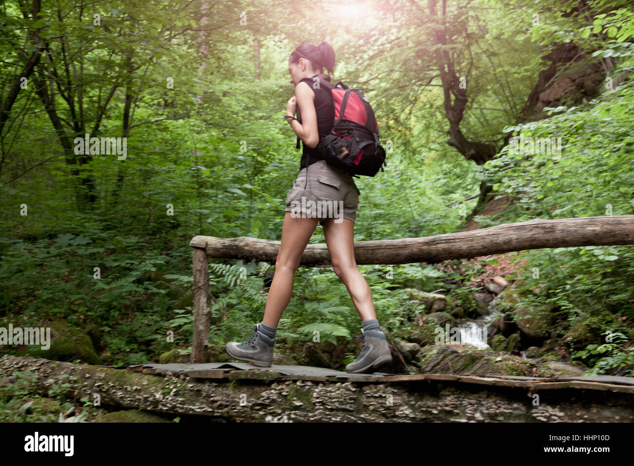 Caucasian woman hiking in forest Stock Photo - Alamy