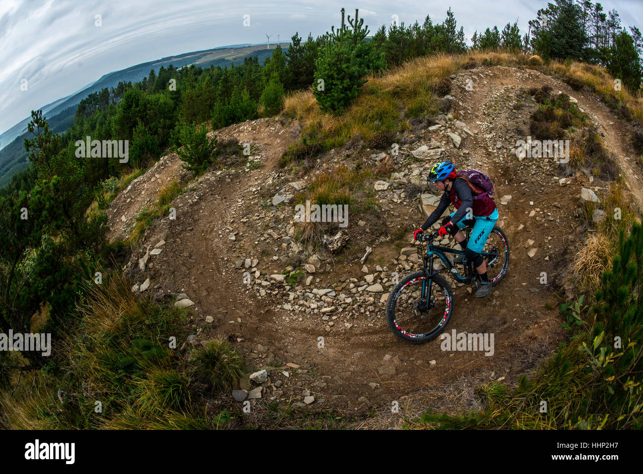 Talbot ponds hi-res stock photography and images - Alamy