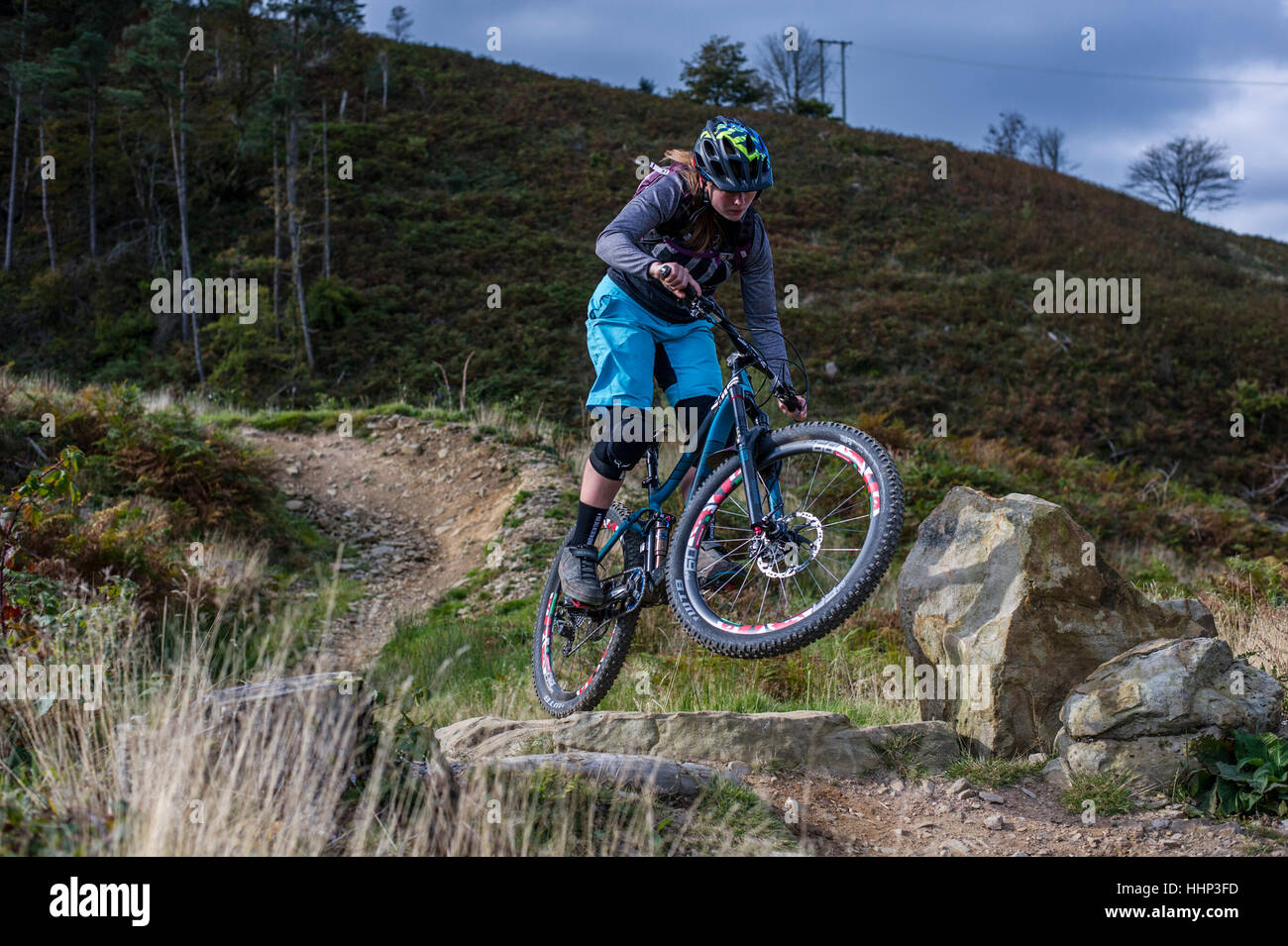 afan valley mtb