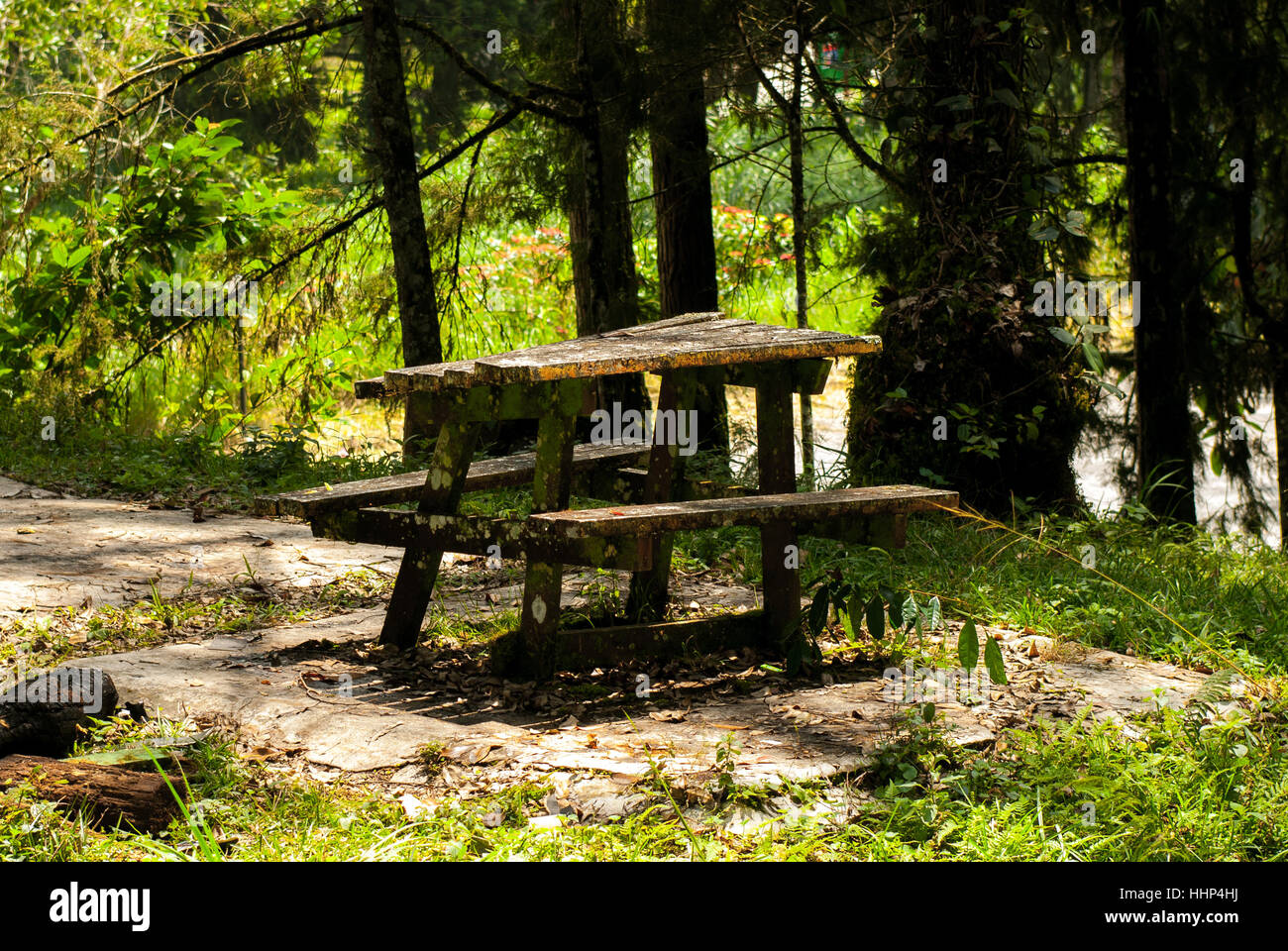 Old table in the woods Stock Photo Alamy