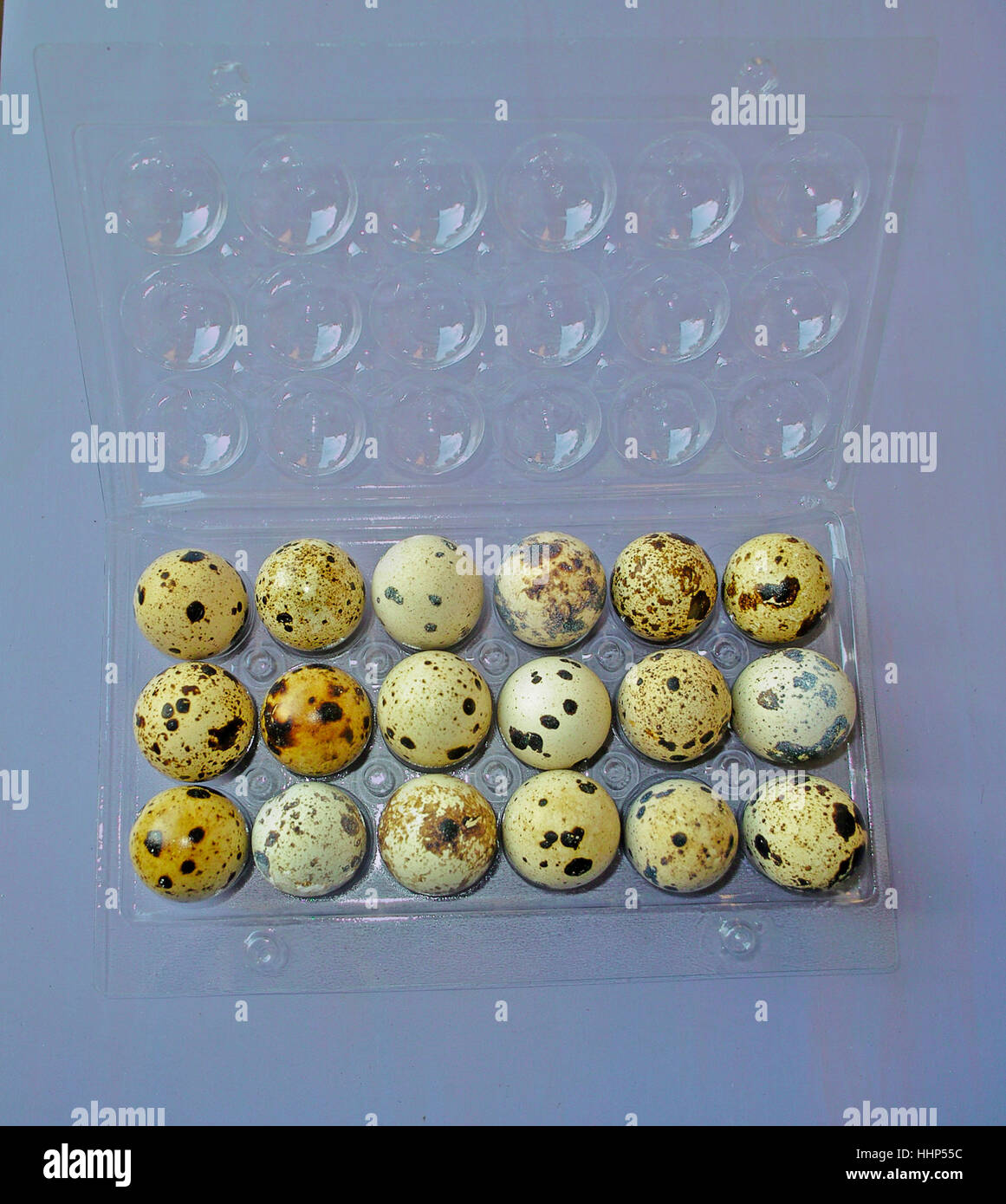 Bob white quail hi-res stock photography and images - Alamy