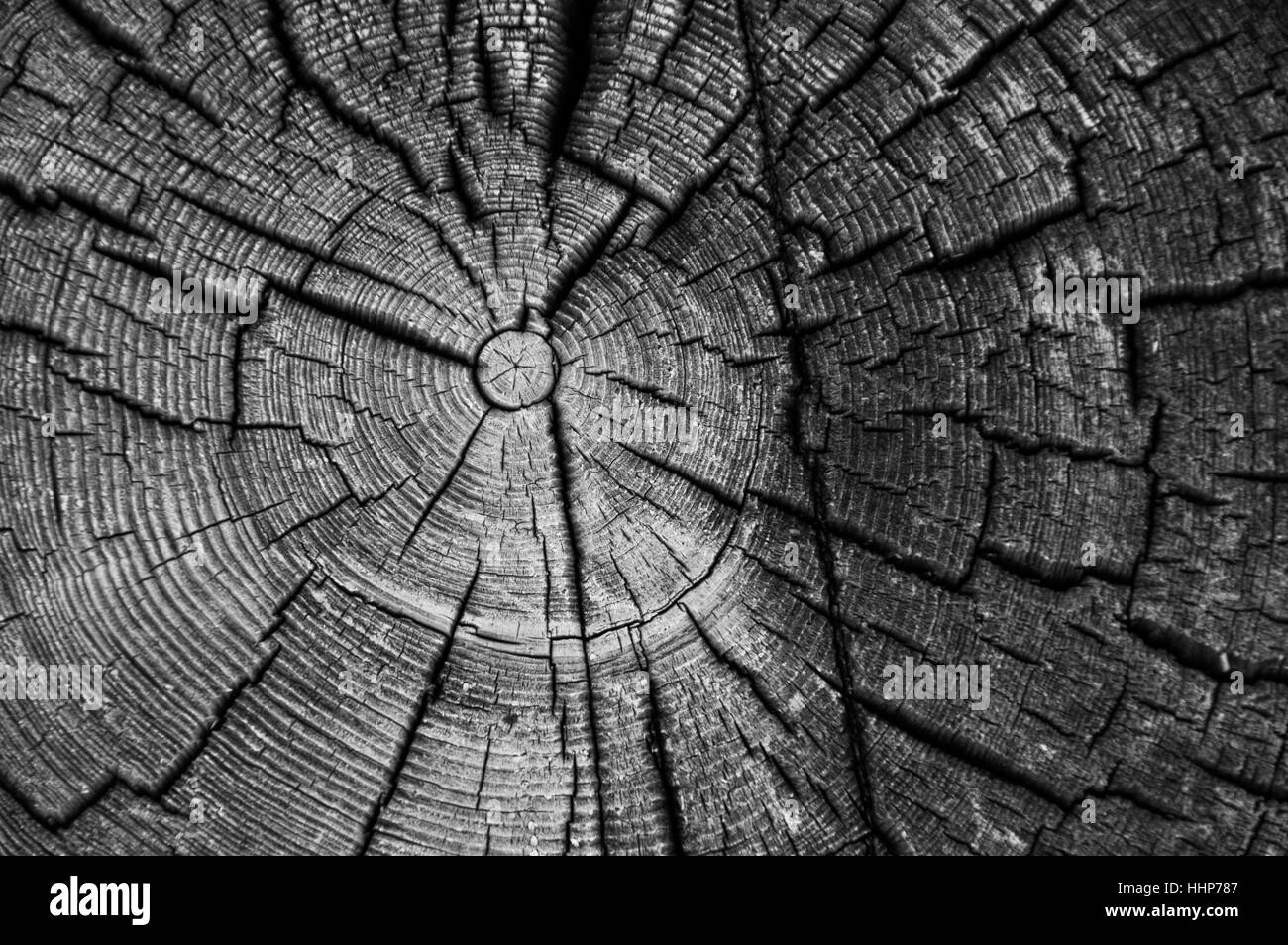 Black and white log cabin hi-res stock photography and images - Alamy