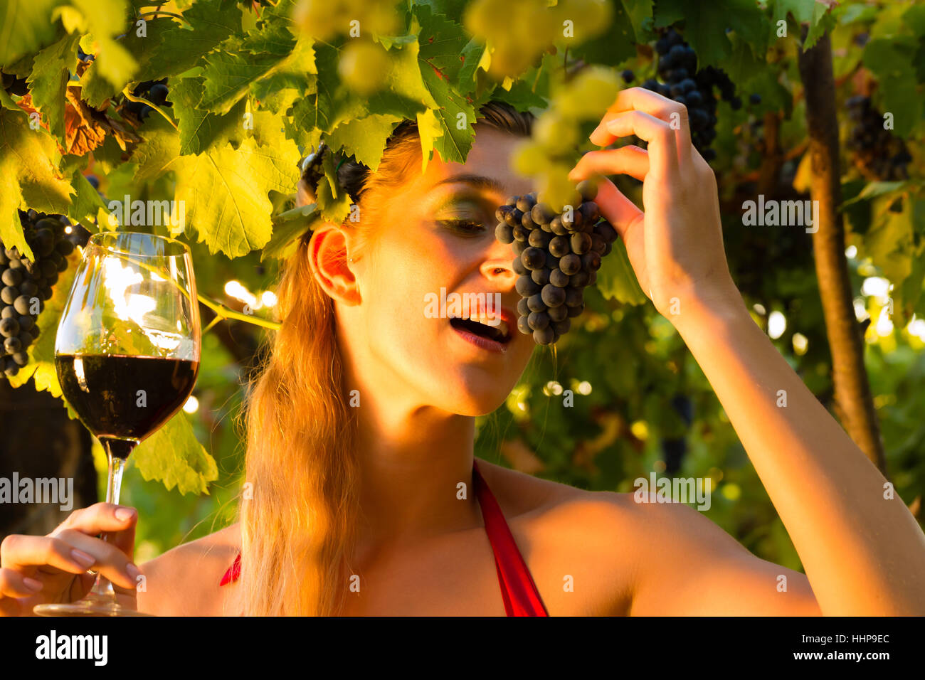 woman, grapes, wine, red wine, essen, vine, grape vine, grapevine