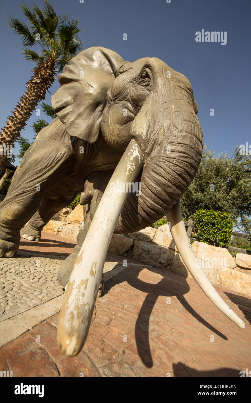 animal, mammal, statue, elephant, tusk, sculpture, wide angle, big