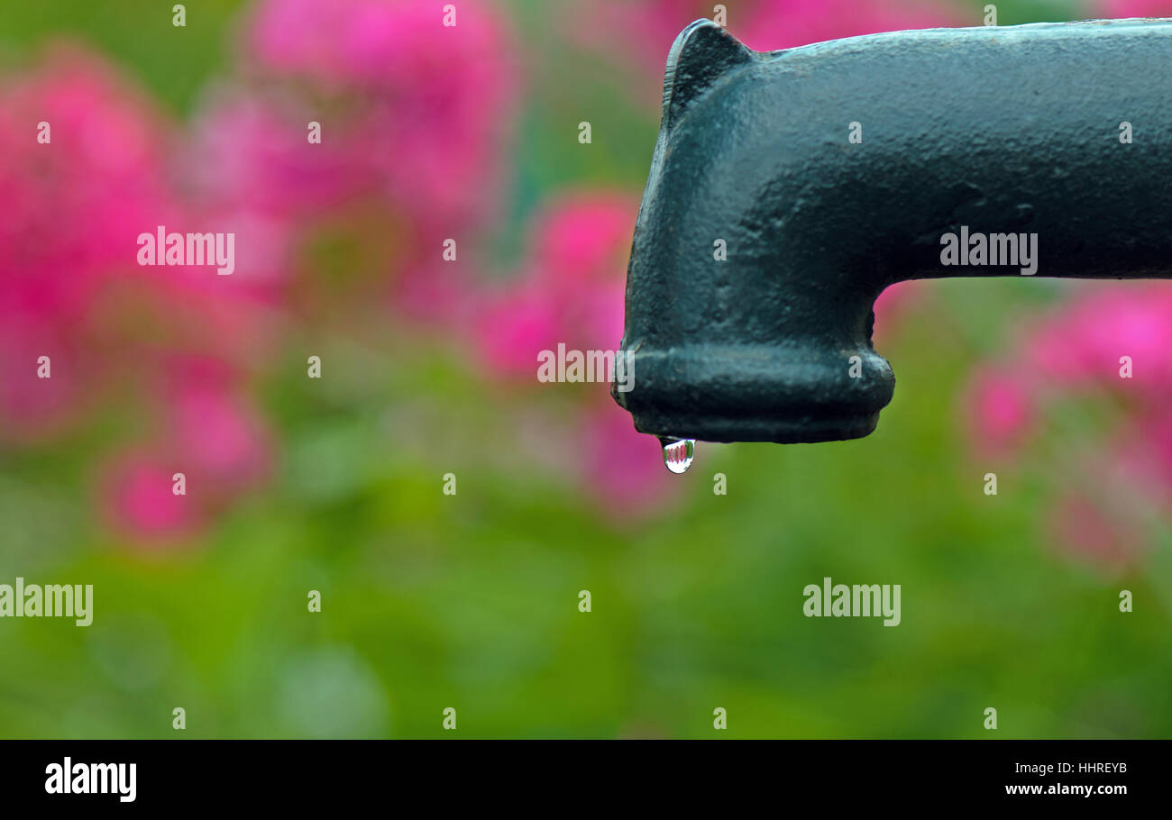 garden, pump, gardens, wet, leak, water drop, waterdrop, water