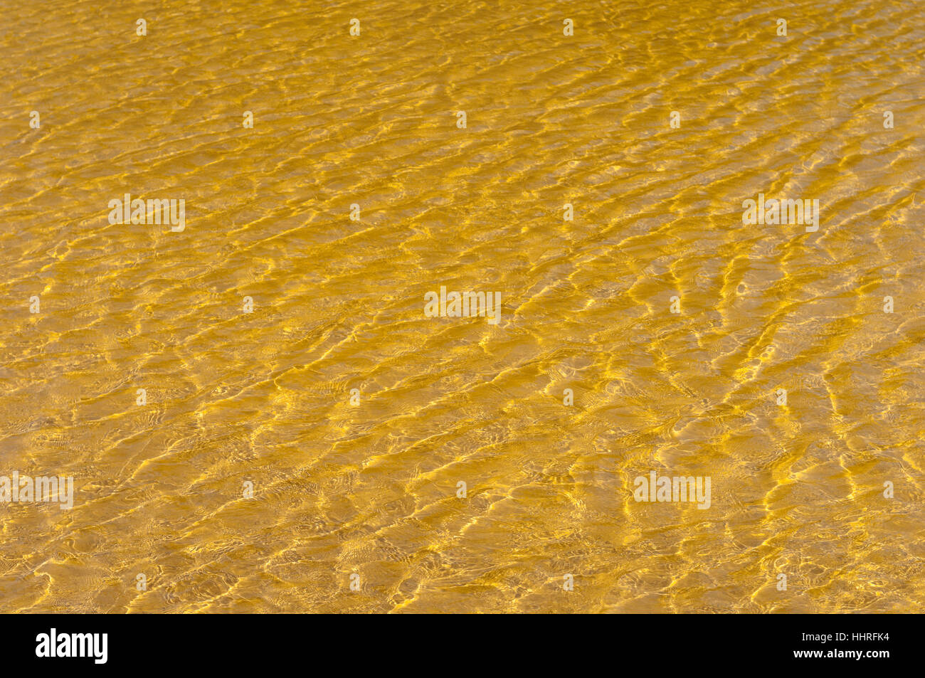 danger, disaster, contamination, polluted, contaminated, river, water