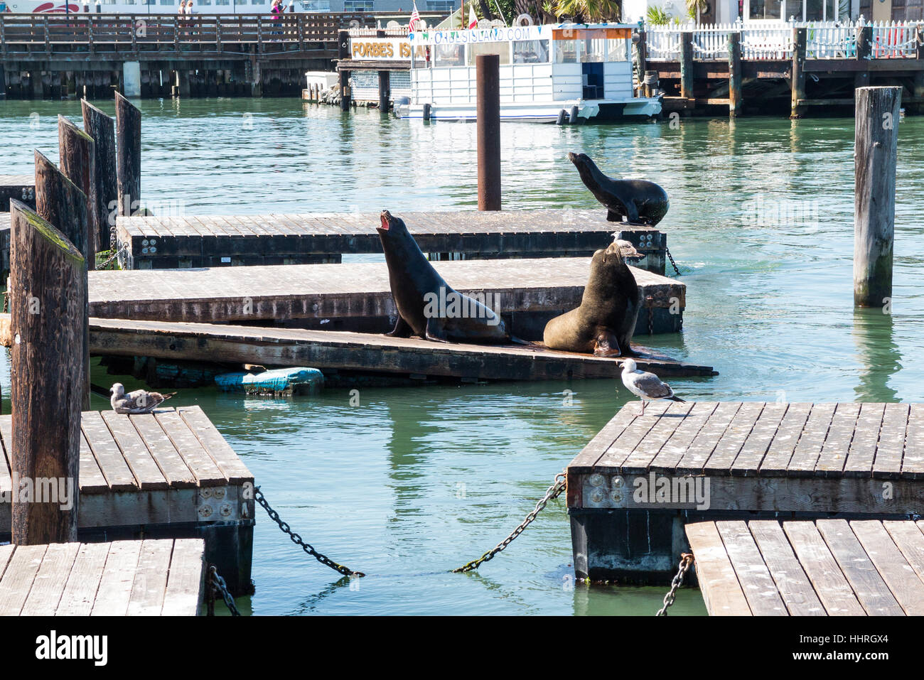 Pier 39 - Wikipedia