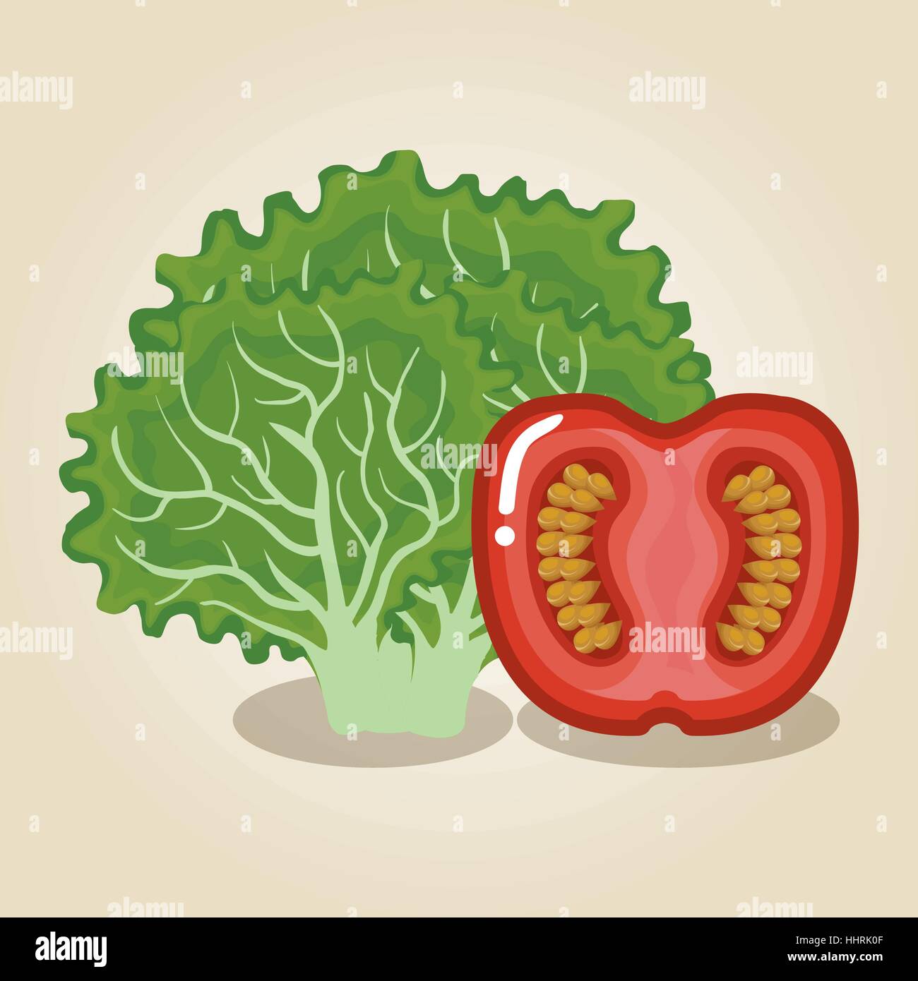 set vegetables healthy food vector illustration design Stock Vector ...