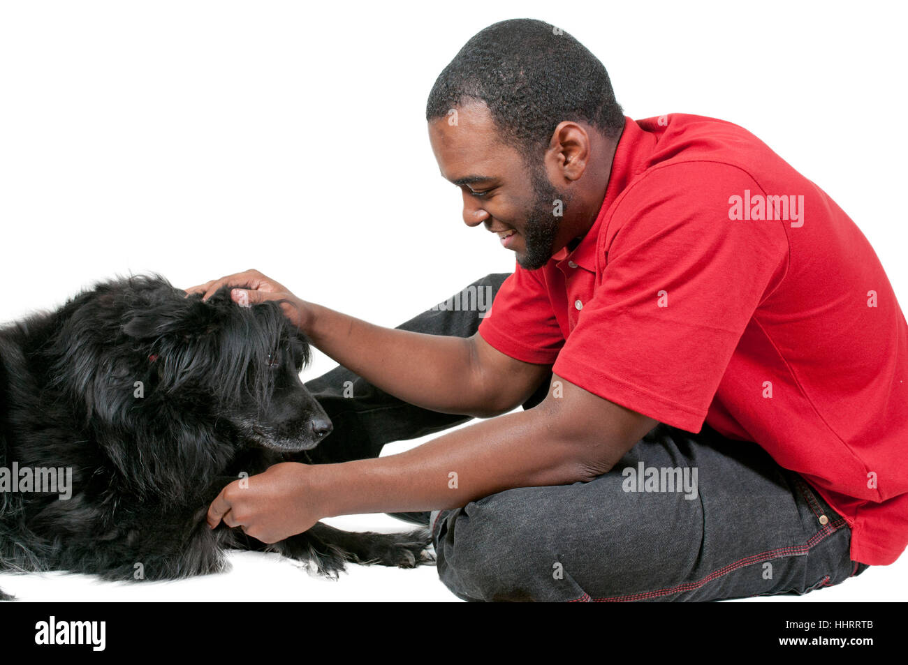 Labrador Human Man plays black labrador retriever hi-res stock photography and images ...