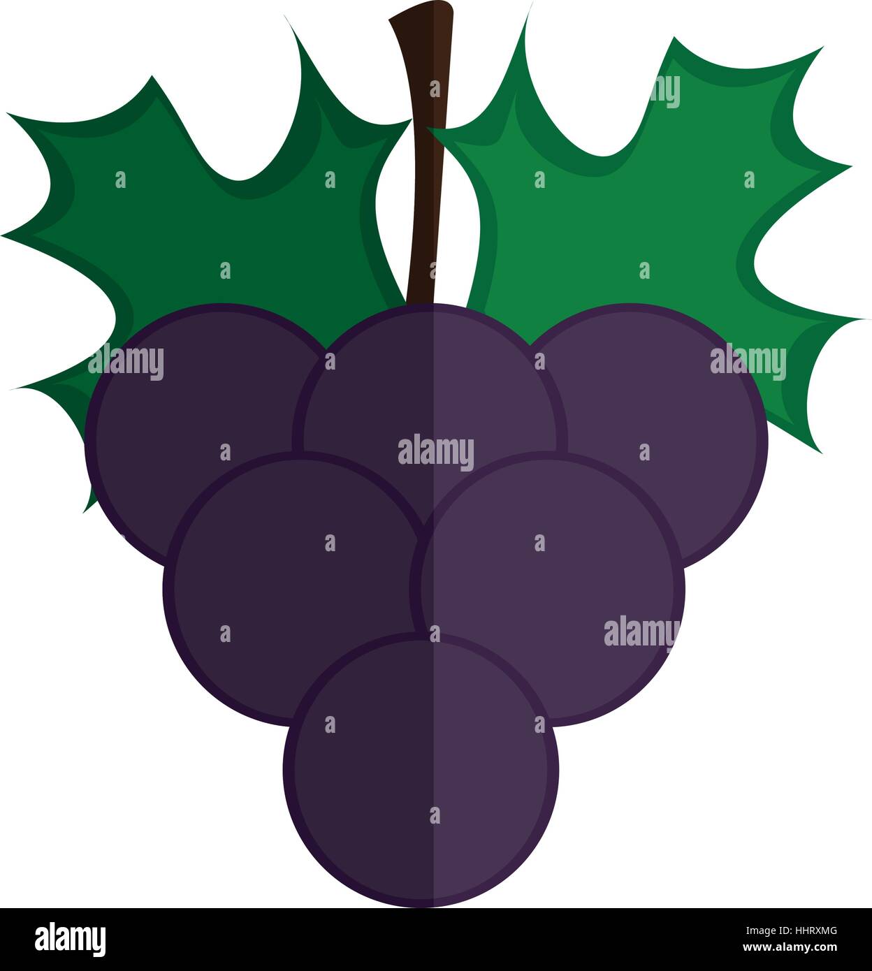 grape fruit isolated icon Stock Vector Image & Art - Alamy