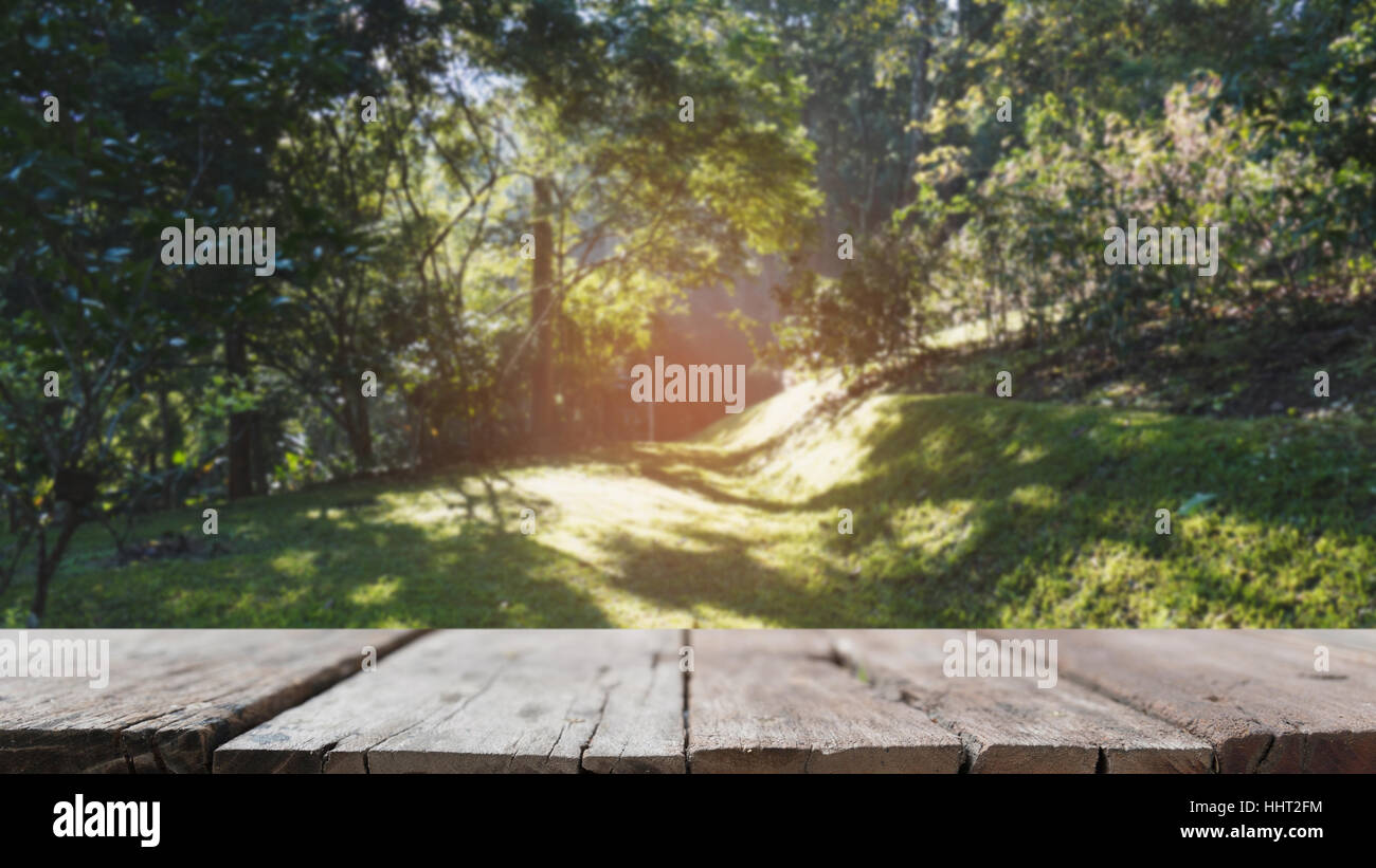 blur image of sunlight in morning on green grass in the park with selected focus empty wood table for display your product Stock Photo