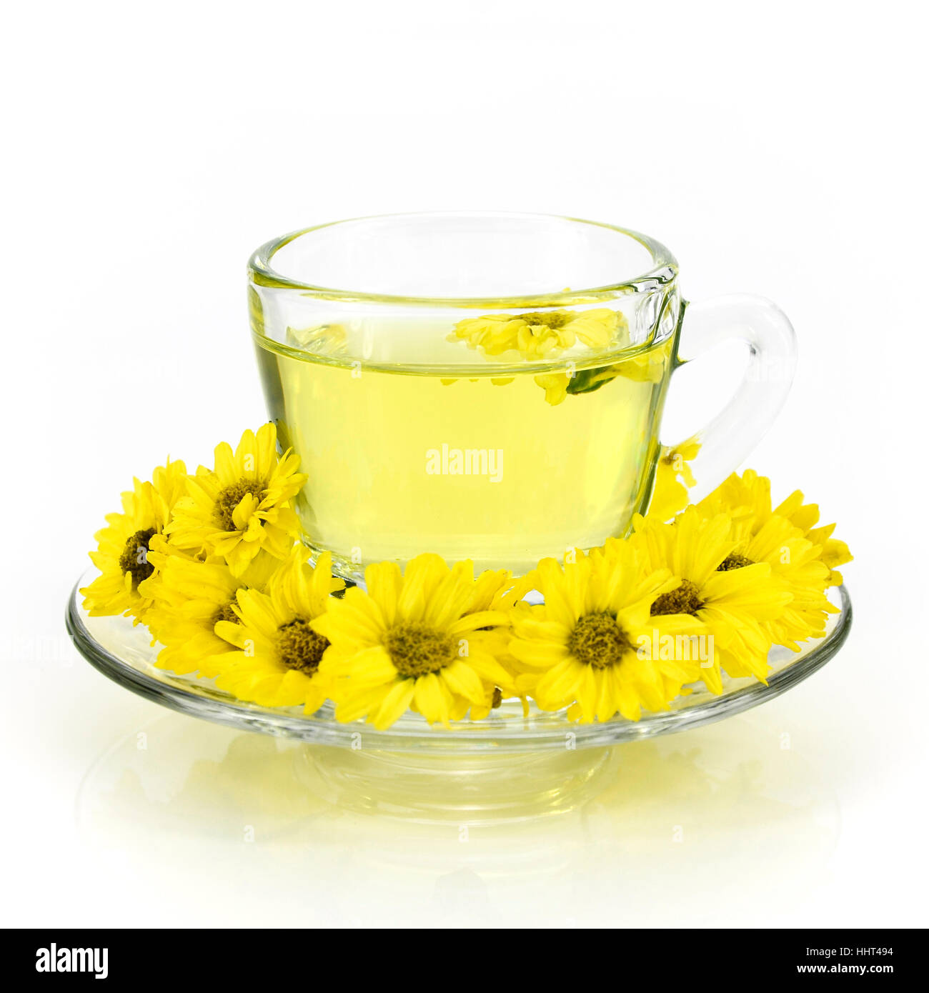Chrysanthemum Tea High Resolution Stock Photography And Images Alamy Chrysanthemum Tea High Resolution Stock Photography And Images Alamy