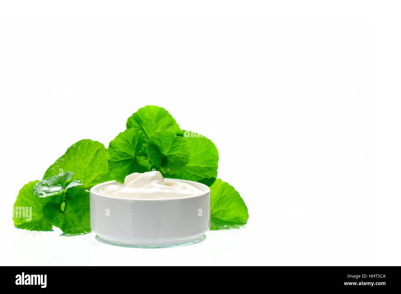 Indian pennywort (Centella asiatica (L.) Urban.) anti-aging skin care product. Stock Photo