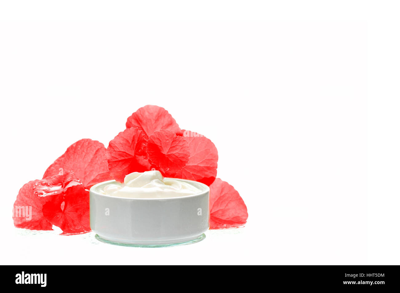 Centella asiatica leaves and skincare product in red and white tone. Indian pennywort (Centella asiatica (L.) Urban.) anti-aging skin care product. Stock Photo