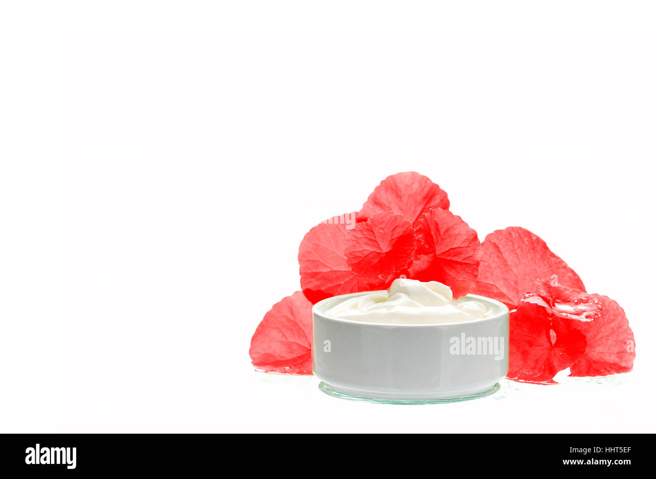 Centella asiatica leaves and skincare product in red and white tone. Indian pennywort (Centella asiatica (L.) Urban.) anti-aging skin care product. Stock Photo