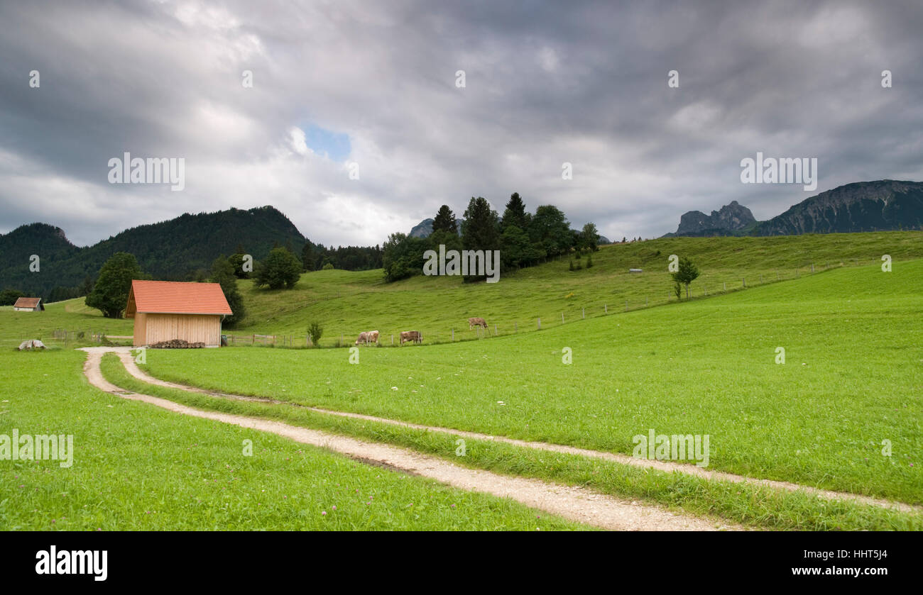 mountains, alps, allgu, scenery, countryside, nature, bucolic, mountains, Stock Photo