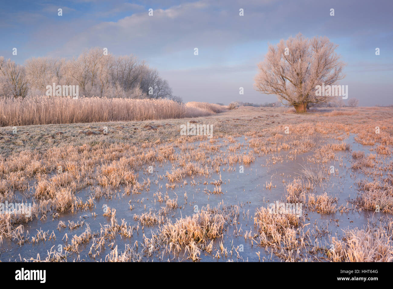 A frozen landscape just north of Amsterdam in The Netherlands photographed in early morning sunlight. Stock Photo