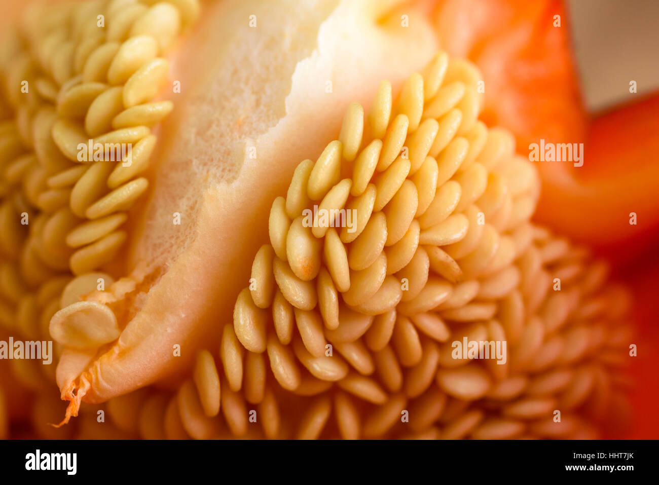 Abstract of seeds inside an opened red bell pepper. Stock Photo