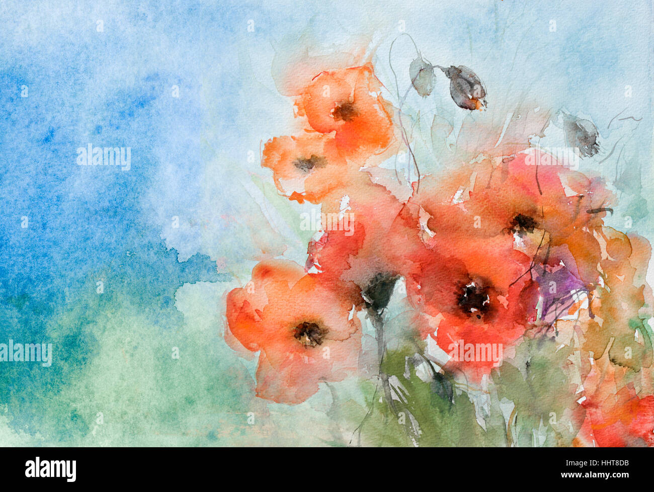 Poppies watercolor hi-res stock photography and images - Alamy