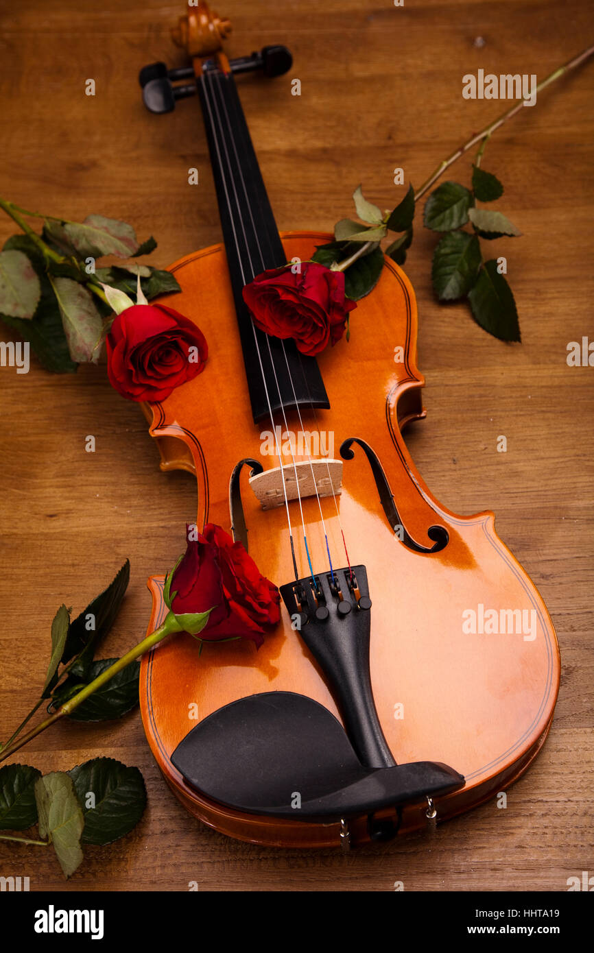 music, musical instrument, romantic, violin, love, in love, fell in love  Stock Photo - Alamy