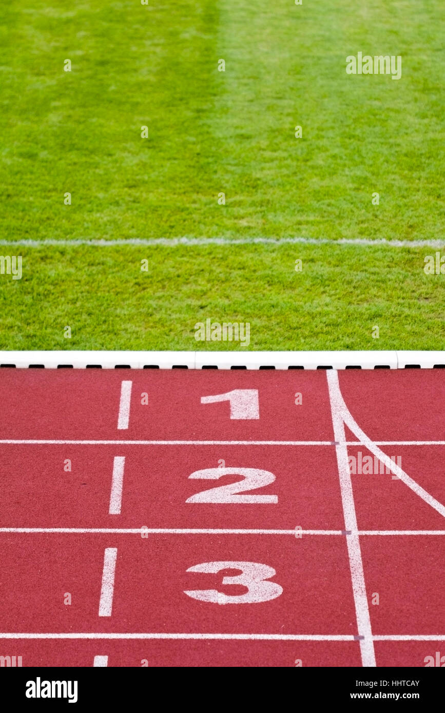sport, sports, lines, track, surface, red, numbers, sport, sports