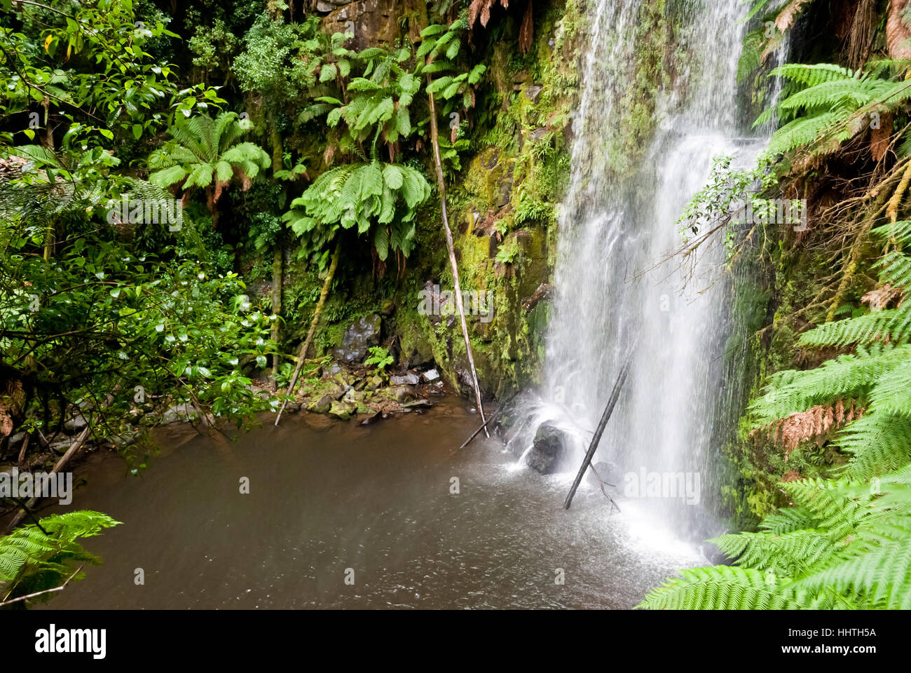 Waterfall in a green rainforest, Australia Stock Photo