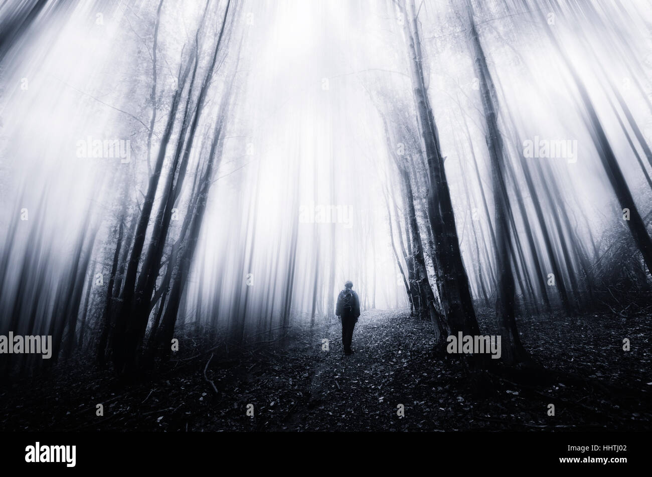Man walking in surreal magical forest Stock Photo