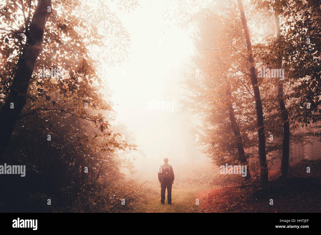 Man in autumn forest in sunset light, surreal enchanted atmosphere Stock Photo