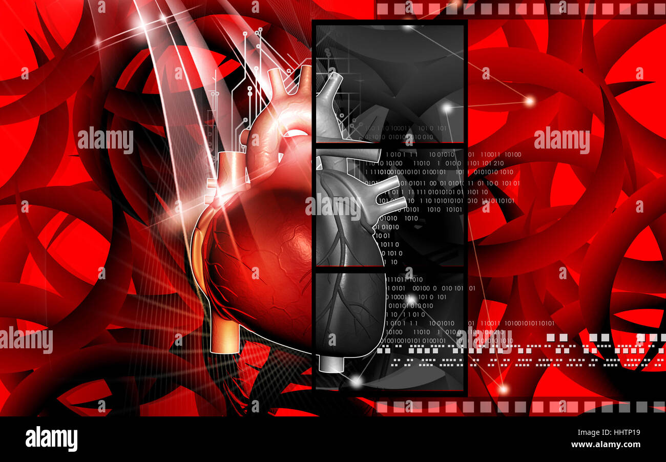 Circulation Graphics education, health, medicinally, medical, circulation, graphics, colour ...