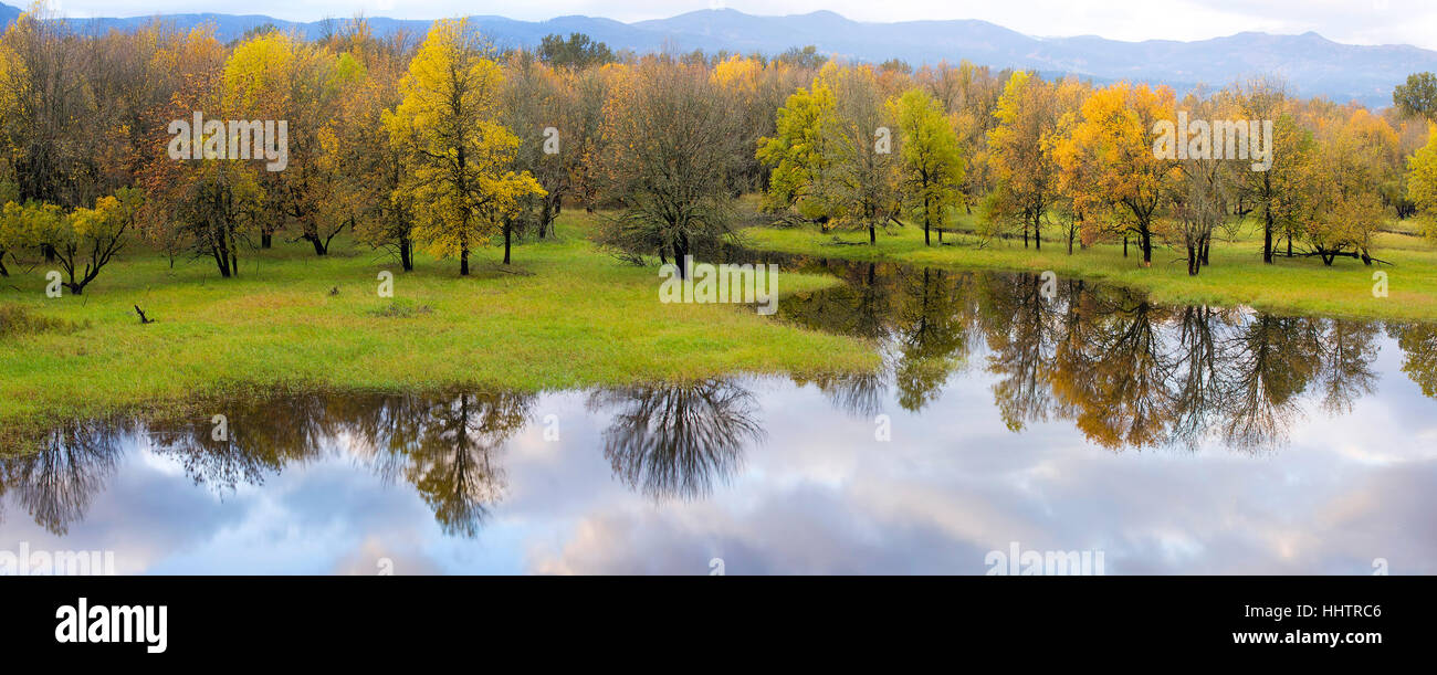 Tree Scenic tree, trees, national, scenic, river, water, fall, autumn, travel, tree ...