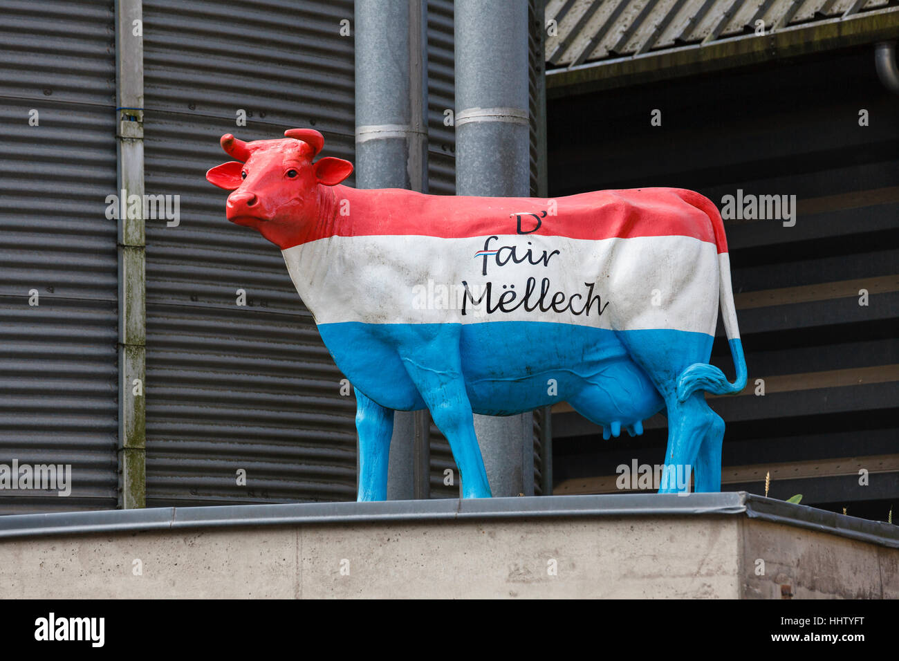 Cow painted in the Luxembourg flag colours on a dairy at Consdorf, Luxembourg Stock Photo